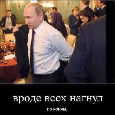 Прикрепленное изображение: 12745597_1690017827920718_5133194189351290432_n.jpg